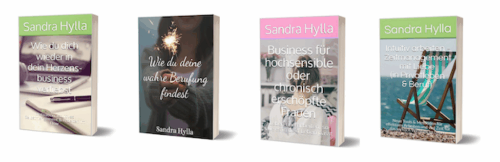 E‑Buch-Serie mit Slow Business-Themen von Sandra Hylla – verdeutlicht, warum E‑Buch schreiben perfekt für authentische Business-Botschaften ist